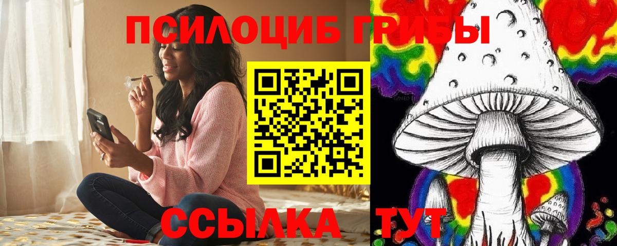 Галлюциногенные грибы прущие грибы Удомля